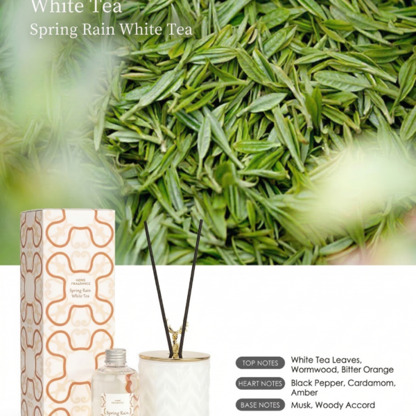 Wilderness Essence- Spring Rain White Tea