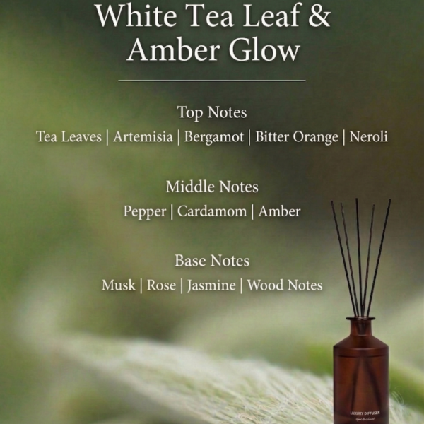 Harvest & Sealed- White Tea Leaf & Amber Glow