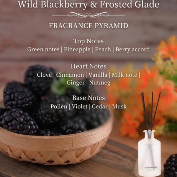 Harvest & Sealed- Wild Blackberry & Frosted Glade